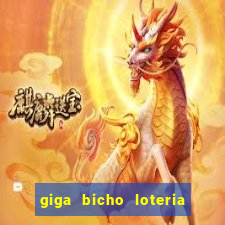 giga bicho loteria dos sonhos